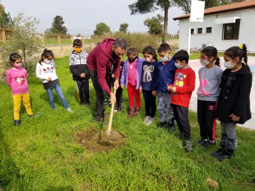 Çocuklarımız bugün içlerinden geçenleri ve gerçekleşmesini istedikleri dileklerini yazıp, ektiğimiz ağacın dibine, köküne bıraktılar.